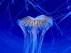 IMG-20211007-WA0018