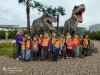 IMG_20211006_123303
