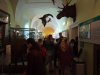 IMG_20220531_095708_433