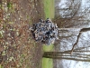 img_20201211_120749