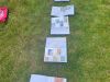 IMG-20220622-WA0024