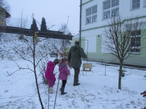 IMG_3573