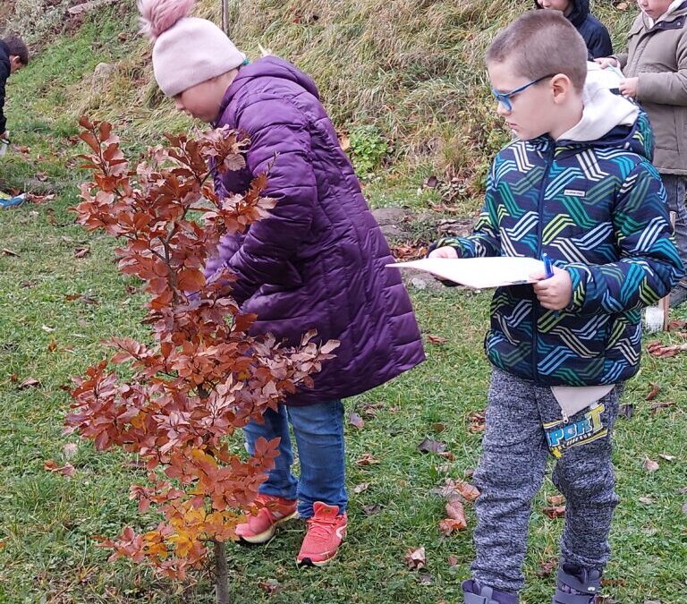 Místo, kde žiju……. 2. lekce