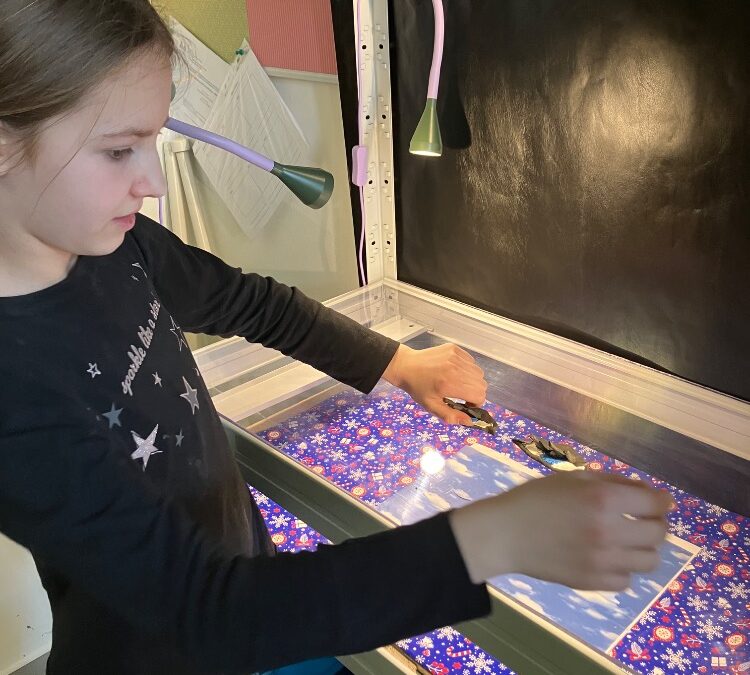 Leden ve školní družině a školním klubu